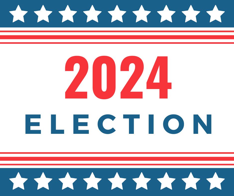 November 21, 2024 Special Election Primary Village of Rochester