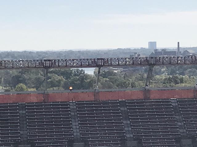 Bird Control Services Nuisance birds at Rutgers stadium in Piscataway, NJ