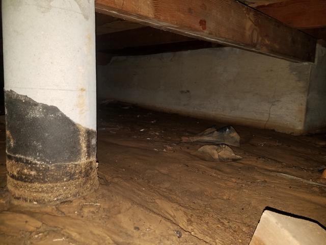Crawl Space Repair Wet Crawl Space in DFW