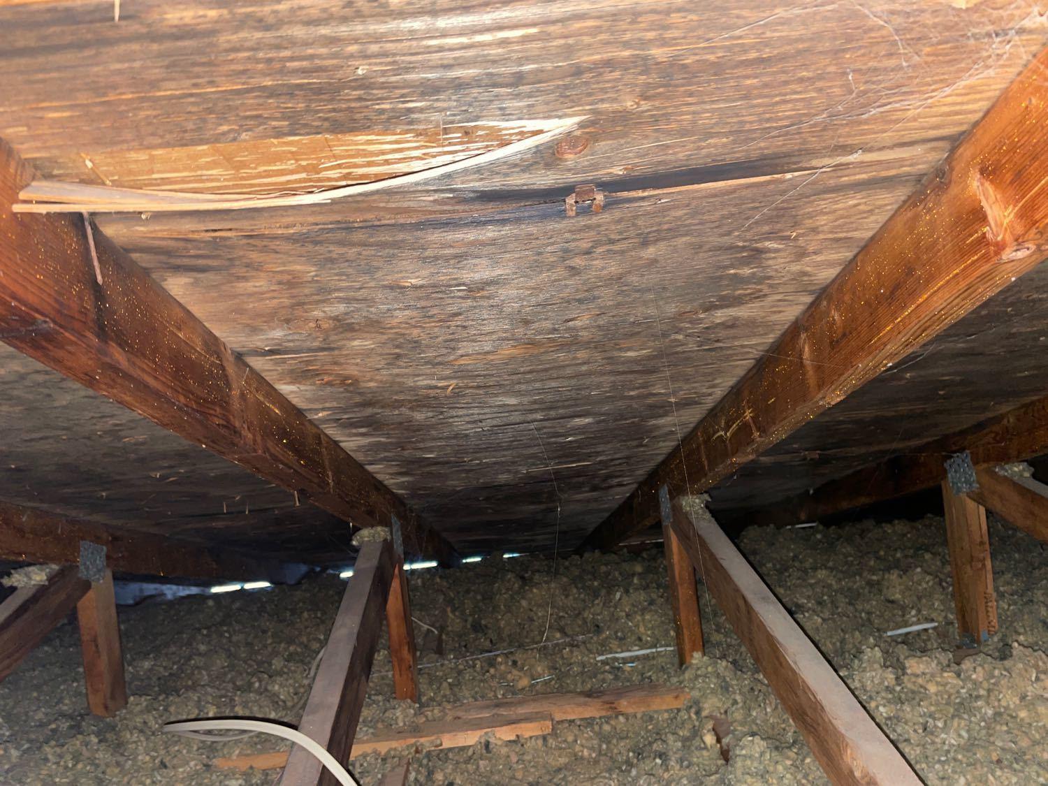 Attic Mold, Ann Arbor, MI Attic ceiling boards with visual mold