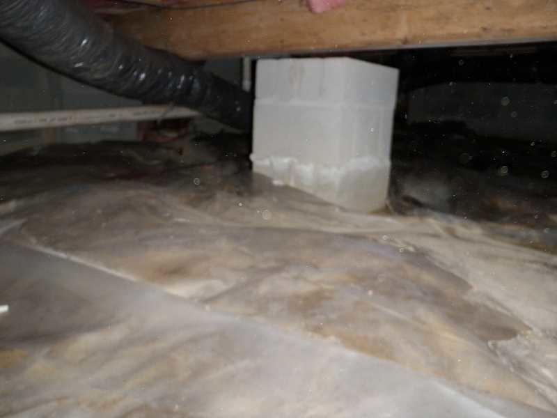  Visible moisture under the light vapor barrier