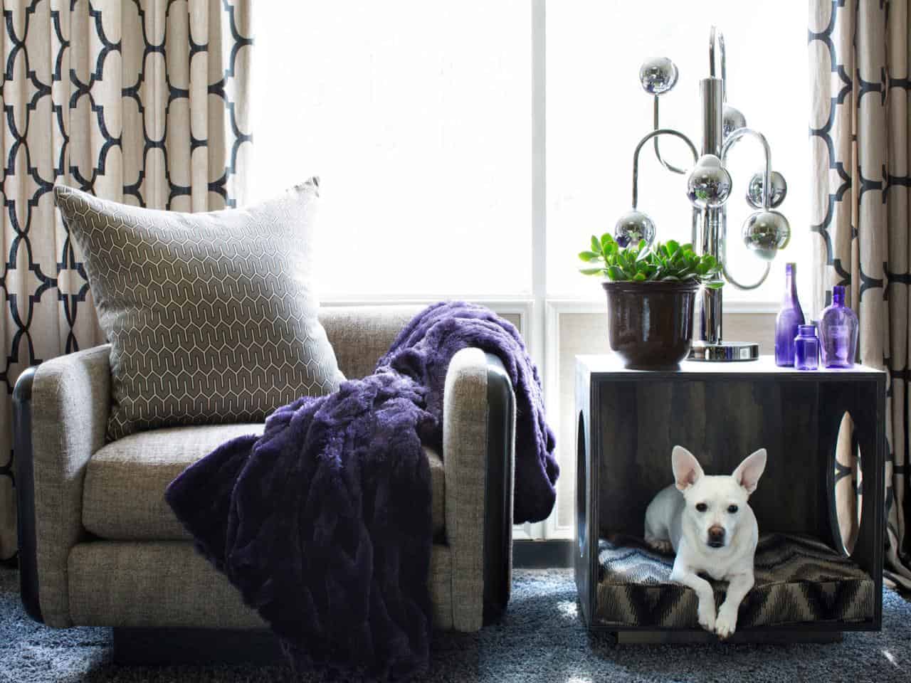 Tips and Tricks For The Perfect Pet Friendly Interior Design