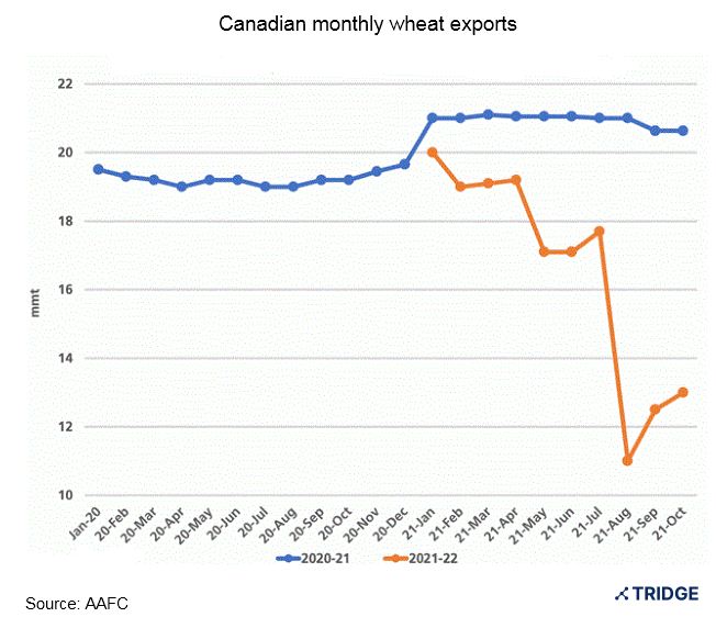 Flood in British Columbia Could Affect Canadian Grain Exports Tridge