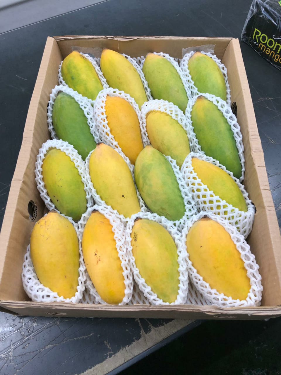 Solid Sales Despite Price Increase for Pakistani Mangoes Tridge