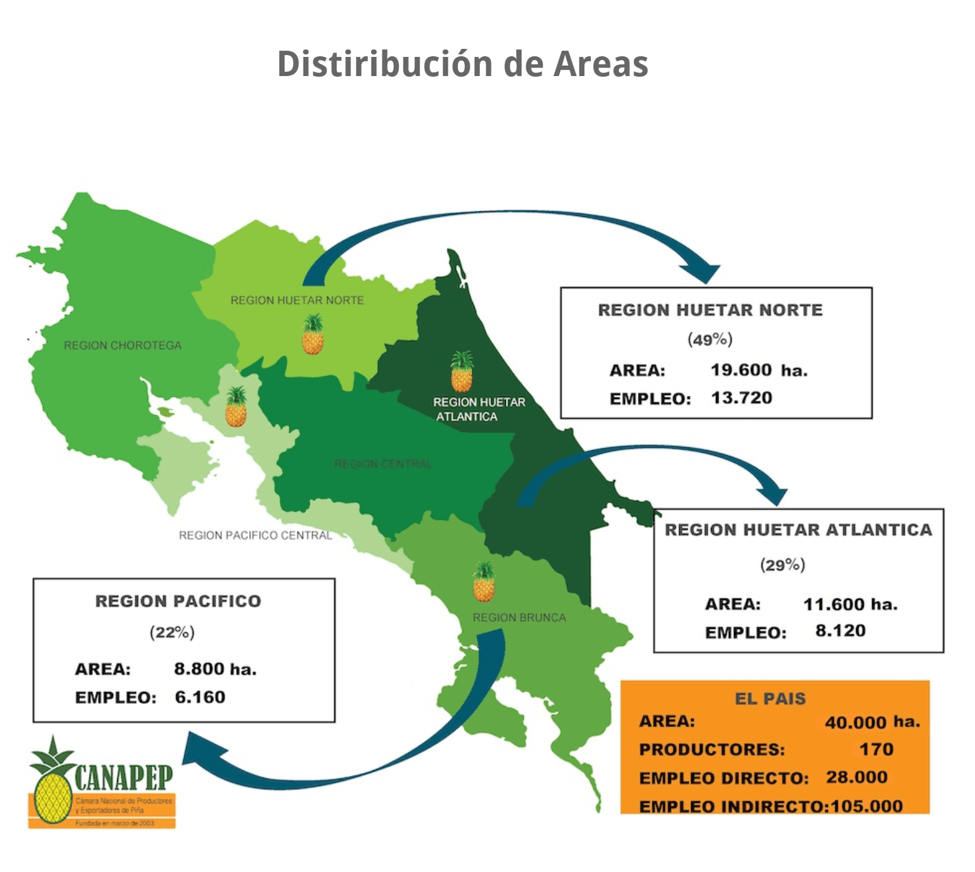 Fresh Pineapple, Costa Rica guide details