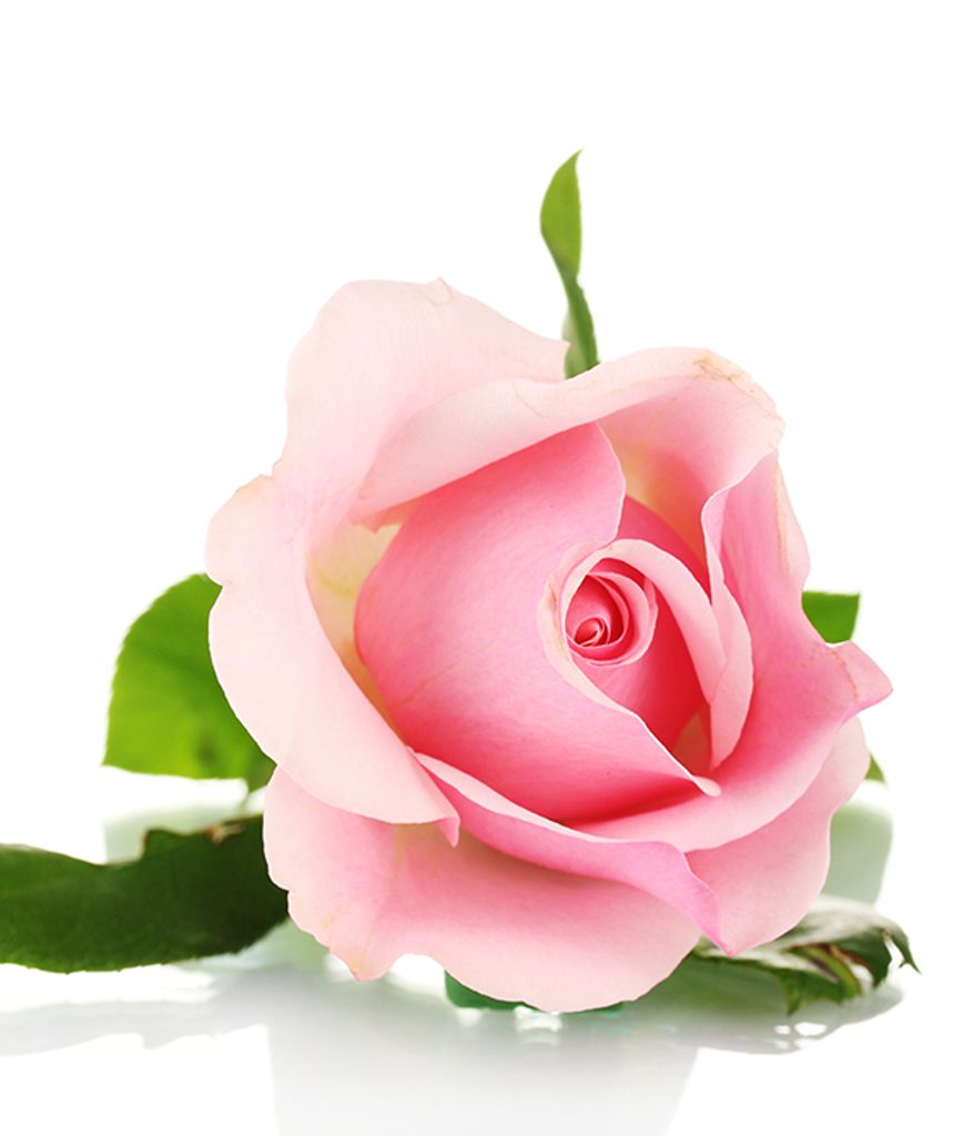 Sandra Kay Pyle "Sam" Obituary April 7, 2025 BrowningDuffer Funeral Home(04)