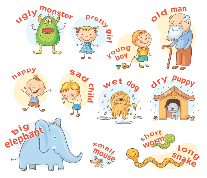 What are Adjectives Turtle Diary