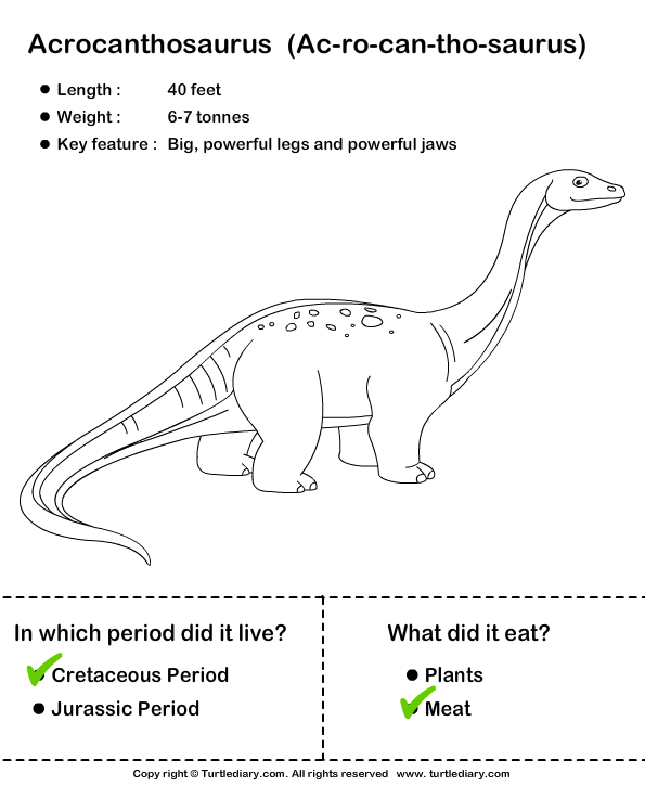 Facts on Dinosaurs Worksheet Turtle Diary