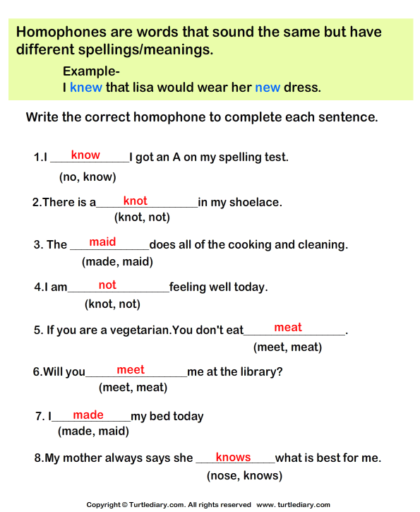 Fill in the Missing Homophone Worksheet Turtle Diary
