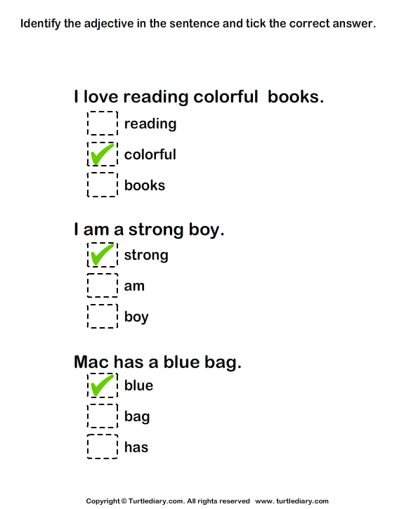 Identify Adjectives and Tick Correct Option Worksheet Turtle Diary