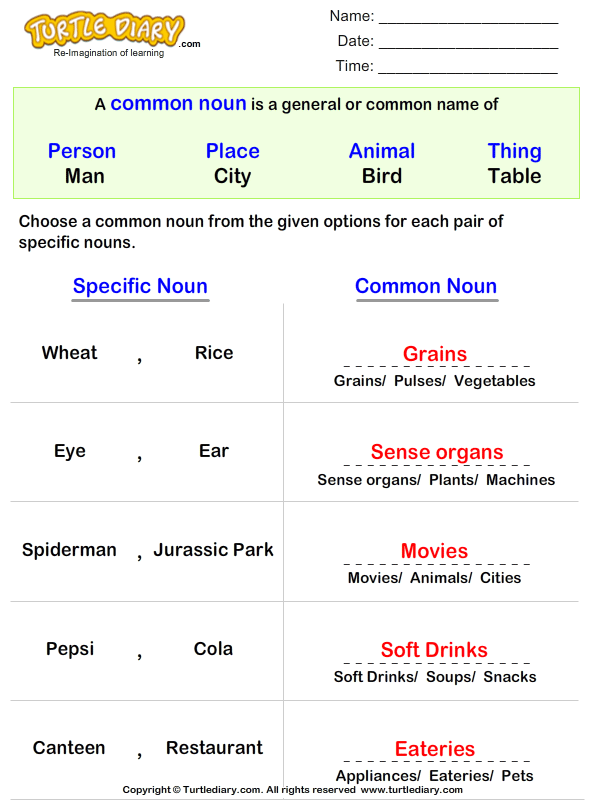 Identify Common Noun for Proper Noun Worksheet Turtle Diary
