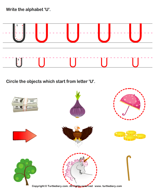 Identify Words That Start With U Worksheet Turtle Diary
