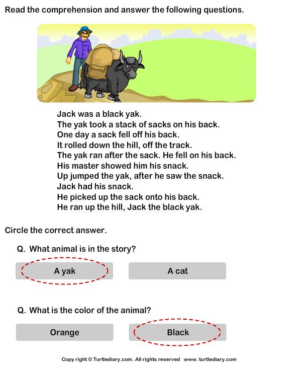 Reading Comprehension Stories Worksheet Turtle Diary