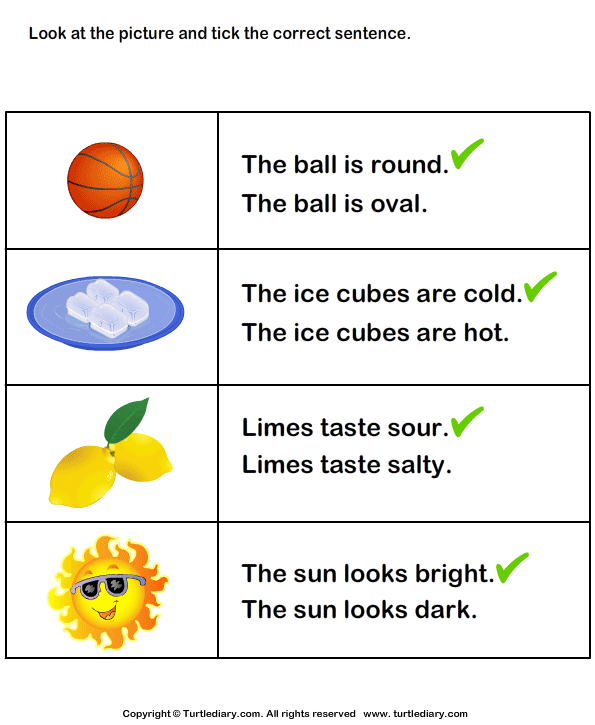 Tick the Sentence with Correct Adjective Worksheet Turtle Diary