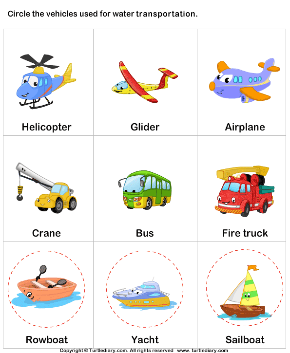 Waterways Transportation Worksheet Turtle Diary