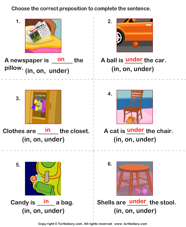 Write Prepositions to Complete each Sentence Worksheet Turtle Diary