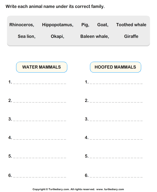 Animal Classification Worksheet Printable Sheet Education