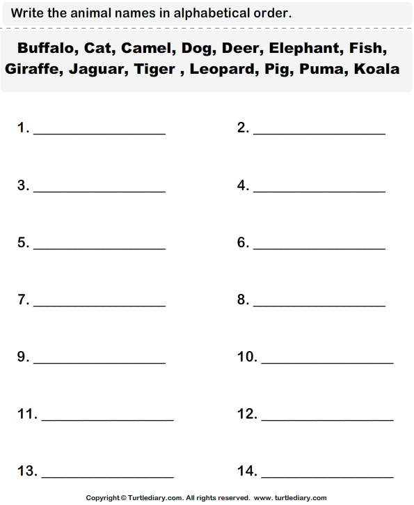 Animals Names List Worksheet Turtle Diary