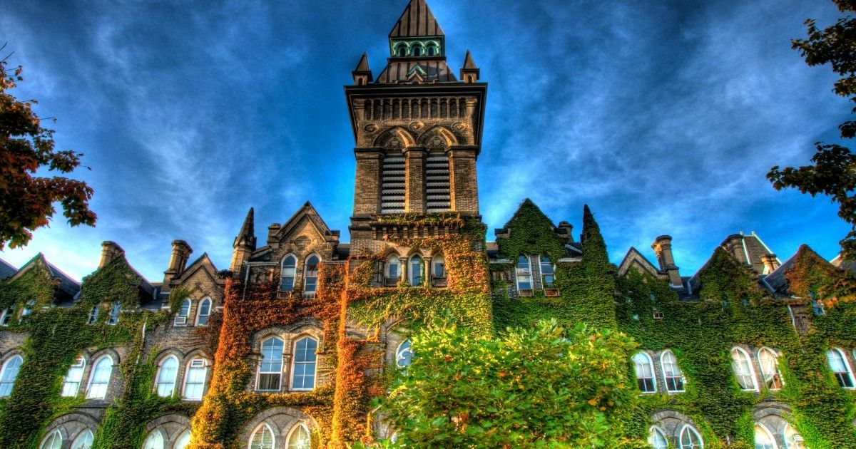 🎓 How To Get Into University (If You Have No GCSEs)