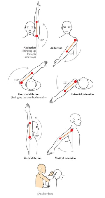 Human Anatomy Fundamentals Flexibility and Joint Limitations Envato Tuts+