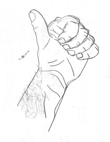 Assignment: Create A Contour Line Drawing Assignment: Create A Contour Line Drawing