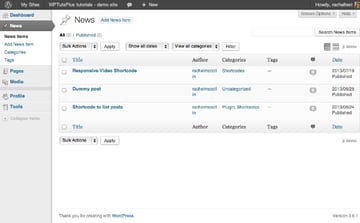 Customizing the WordPress Admin: Custom Admin Menus