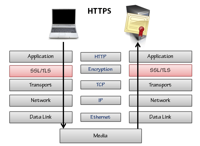 HTTP Succinctly: HTTP State and Security