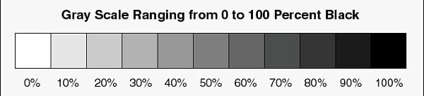 5 Skill Fundamental yang Wajib Dikuasai Artist! Carrot Academy