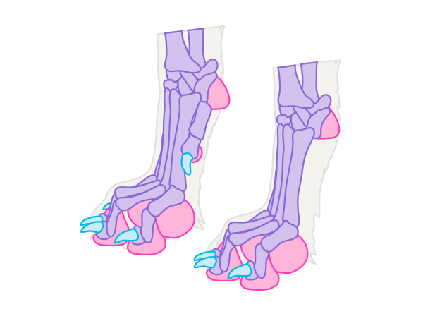 How To Paint A Dog In Acrylics Arttutor