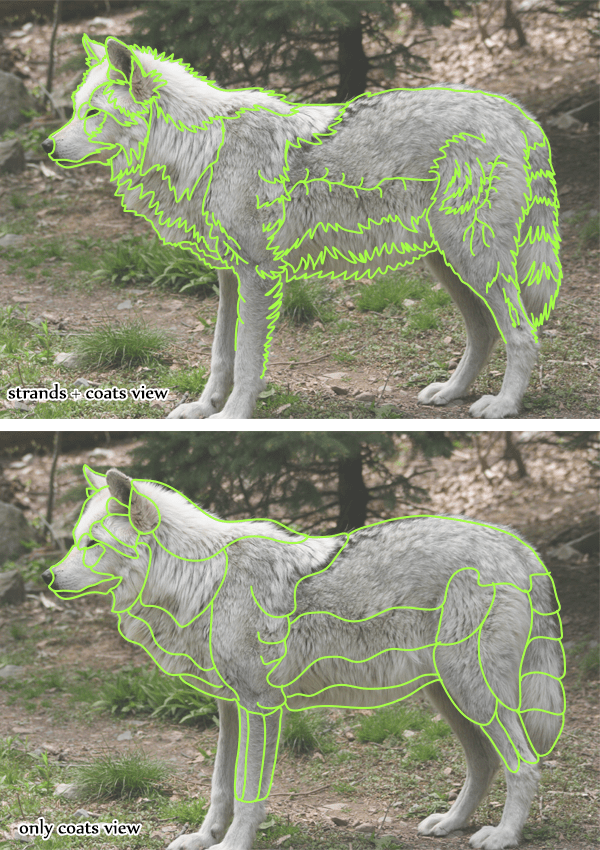 How to Draw Animals Quickly Render Fur