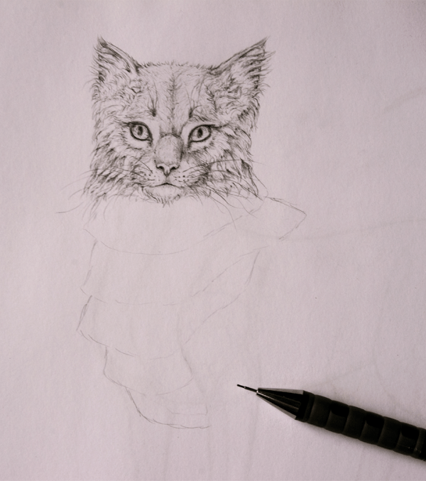 How to Draw Animals Quickly Render Fur