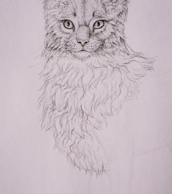 How to Draw Animals Quickly Render Fur