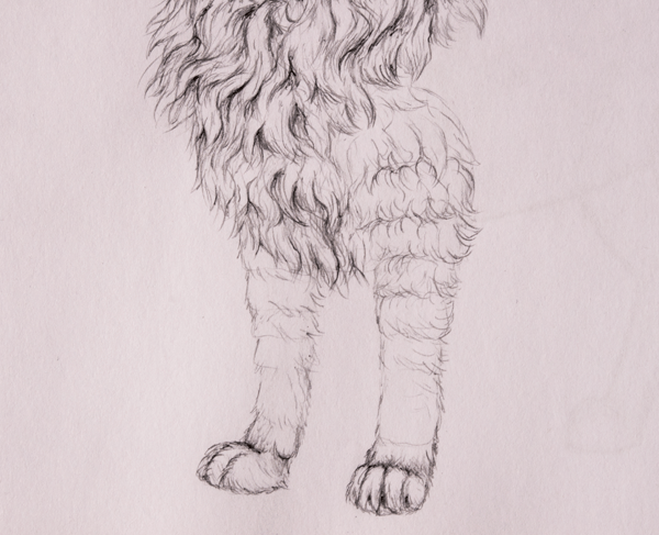 How to Draw Animals Quickly Render Fur Tuts+ Design & Illustration