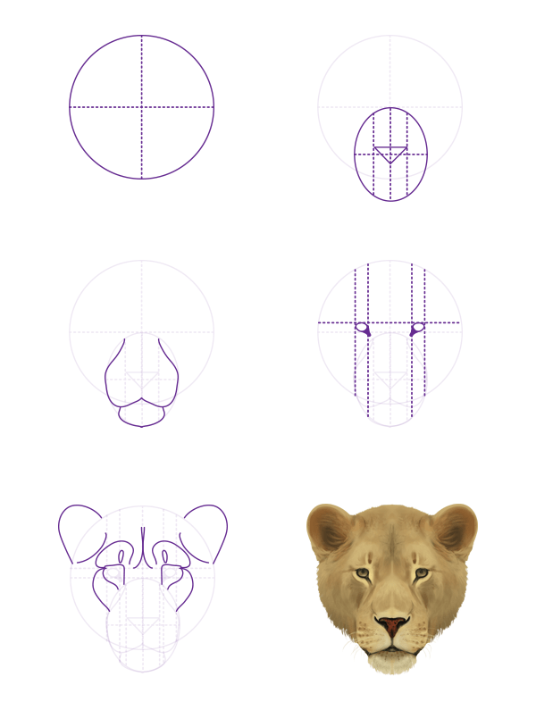 Free How To Draw A Lion Step By Step Download Free Clip Art Free