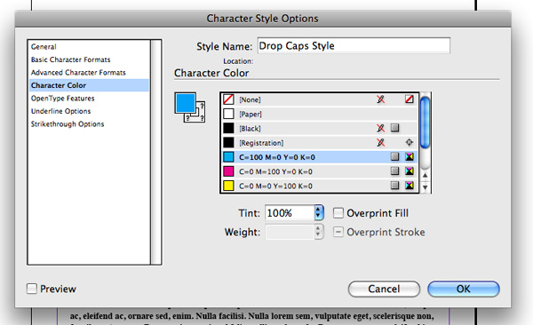Formatting Typography and the Use of Styles in Adobe InDesign