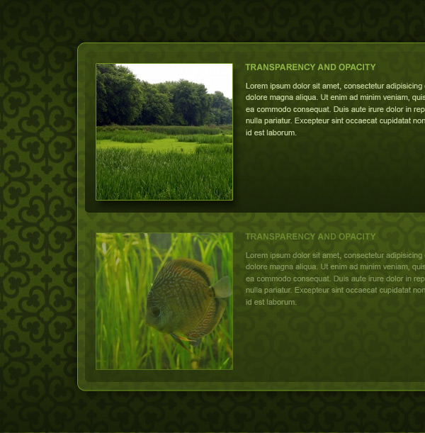 CSS3 vs Opacity and Transparency