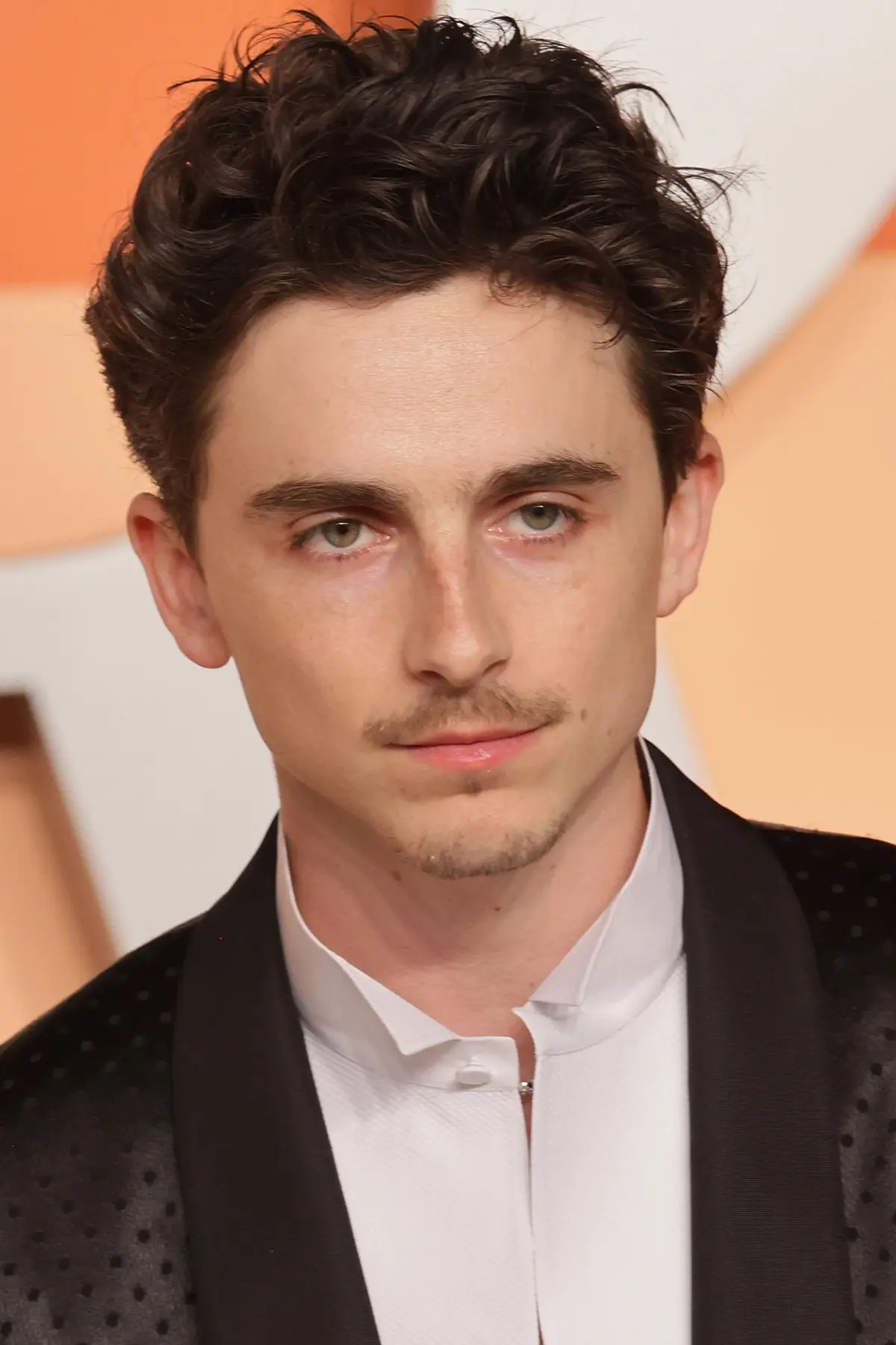 Timothe Chalamet Biographie News Photos Vidos Et Avis