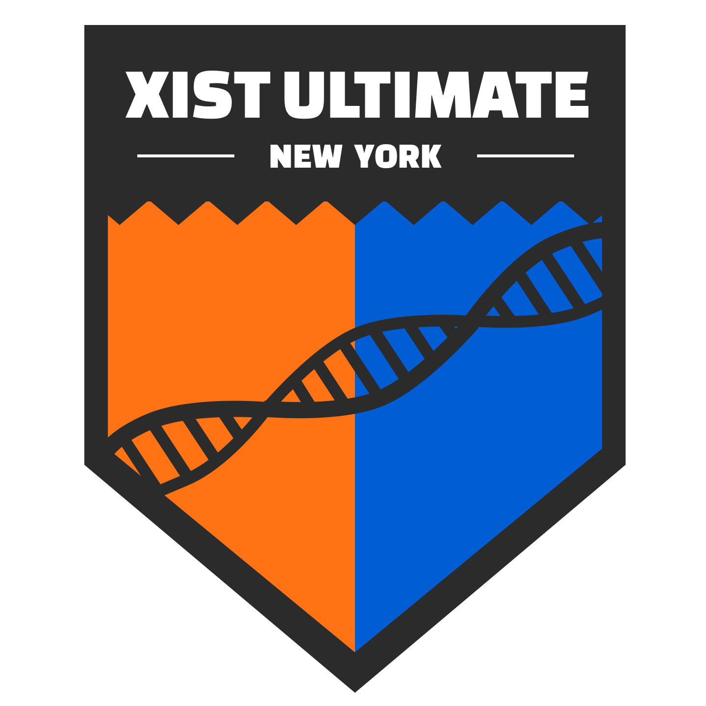 New York XIST Team News, Stats, History & More Ultiworld