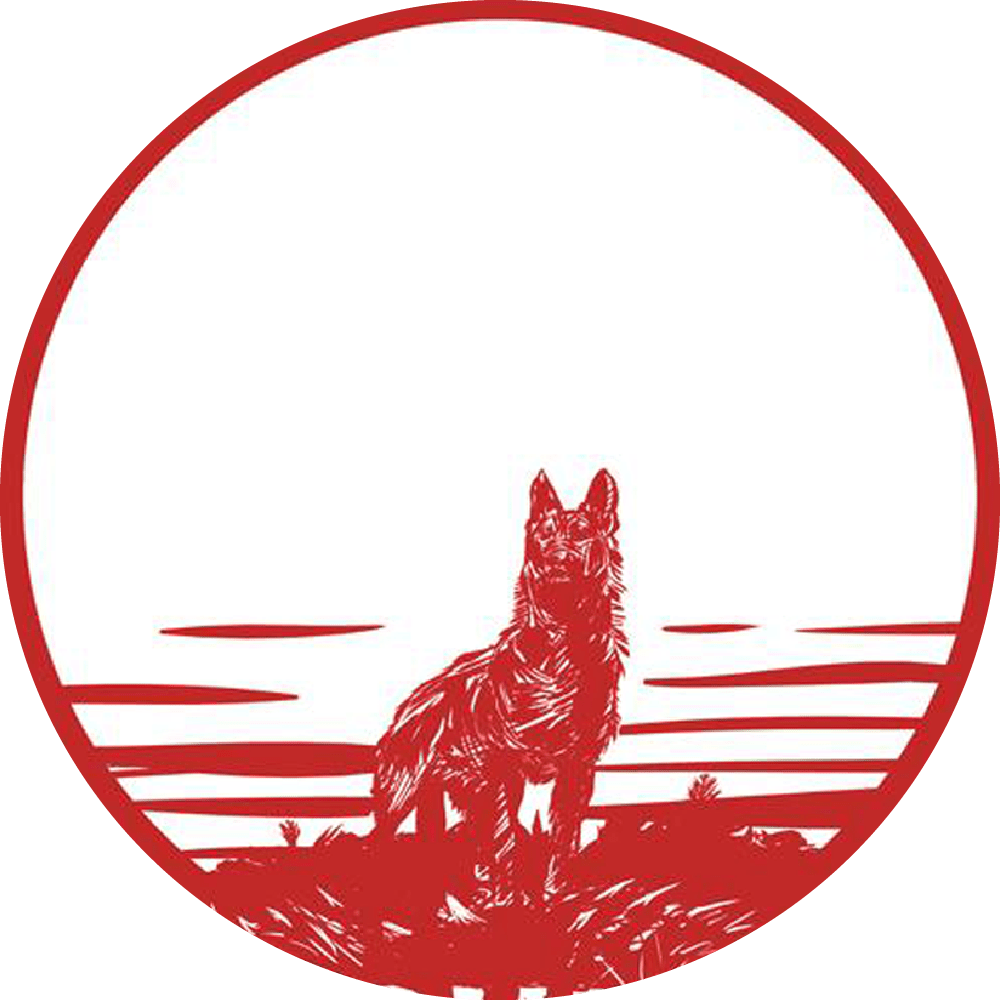 Washington DC Red Wolves Team News, Stats, History & More Ultiworld