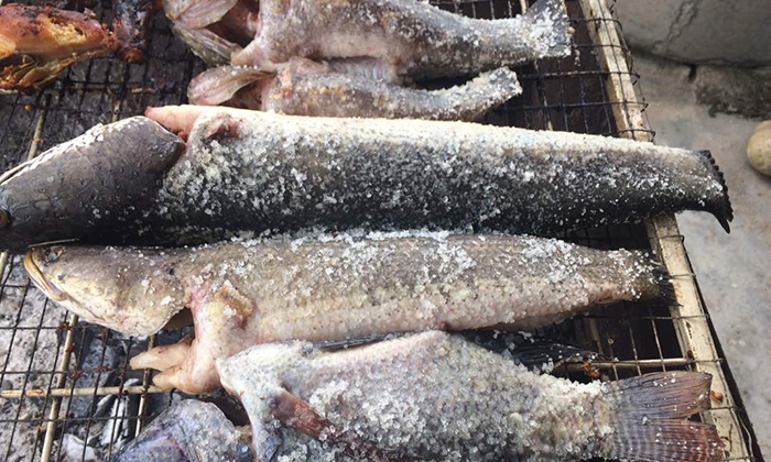 Cara Hilangkan Hanyir Ikan Merah 25 Resepi Ikan Menarik dan Viral Di