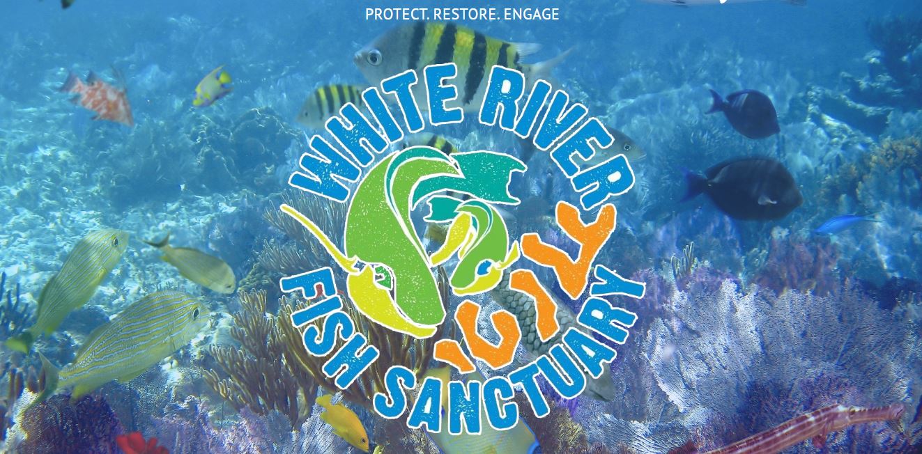 White River Fish Sanctuary 5th Anniversary The Caribbean Environment