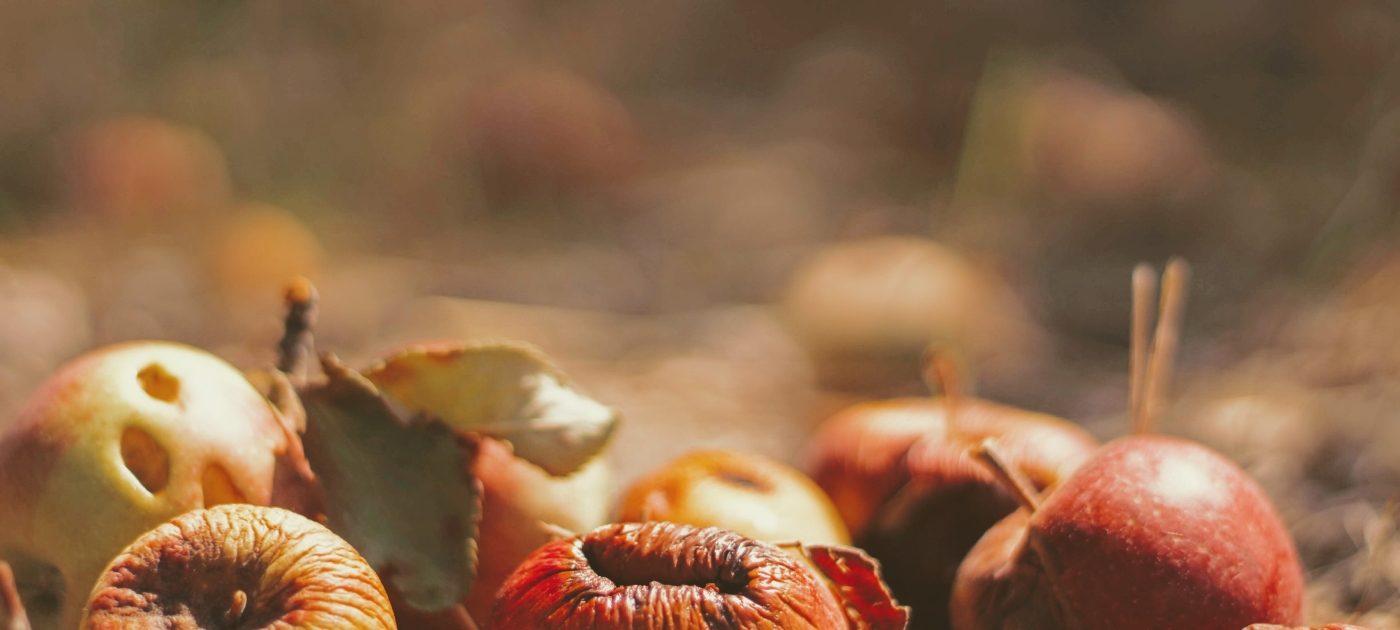 What you need to know about combatting food loss and waste(04)