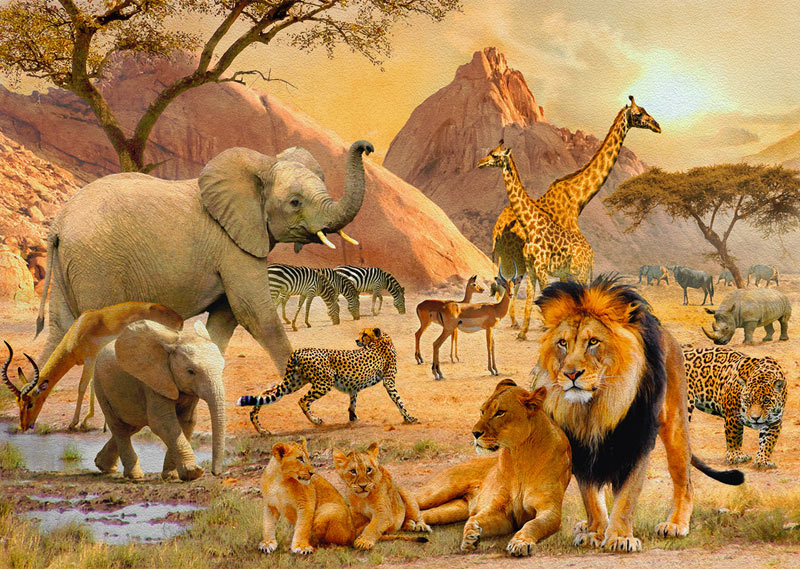 African Wildlife, 1000 Pieces, Ravensburger Puzzle Warehouse