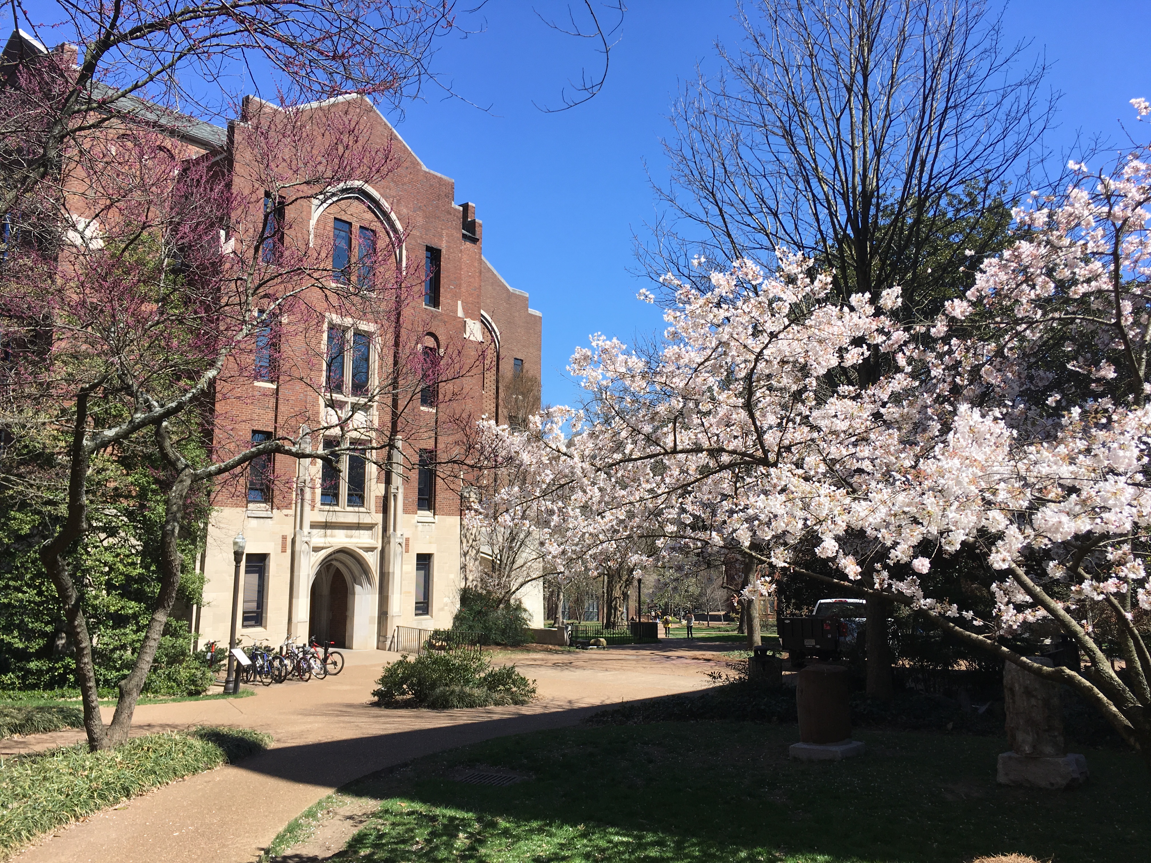 Vanderbilt Holiday Schedule Fall 2023 Class Of 2023 – Regular Decision Summary Statistics | The Vandy Admissions Blog | Vanderbilt University