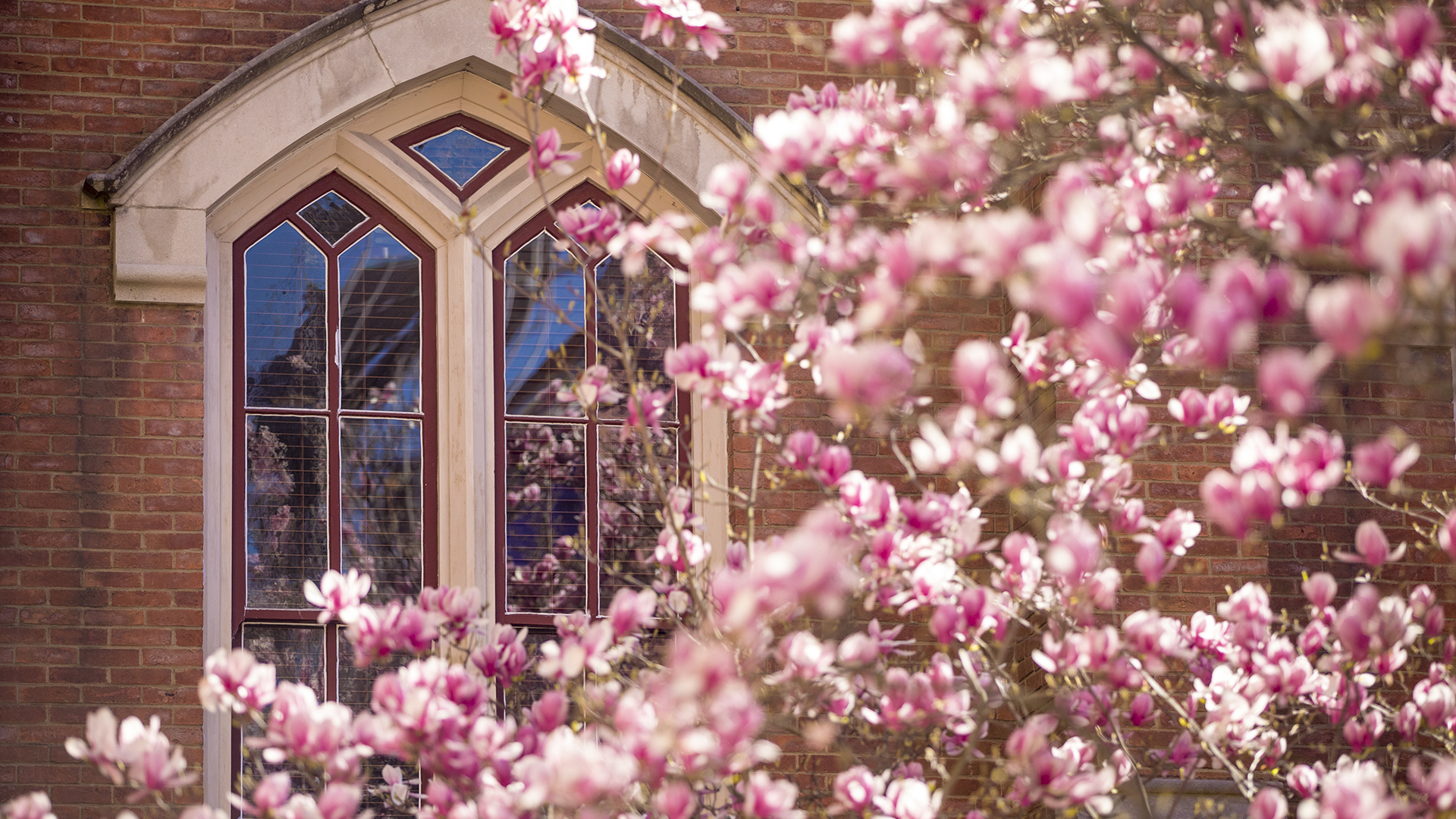 Zoom Collaboration Collaboration and Communication Catalog Services Vanderbilt IT