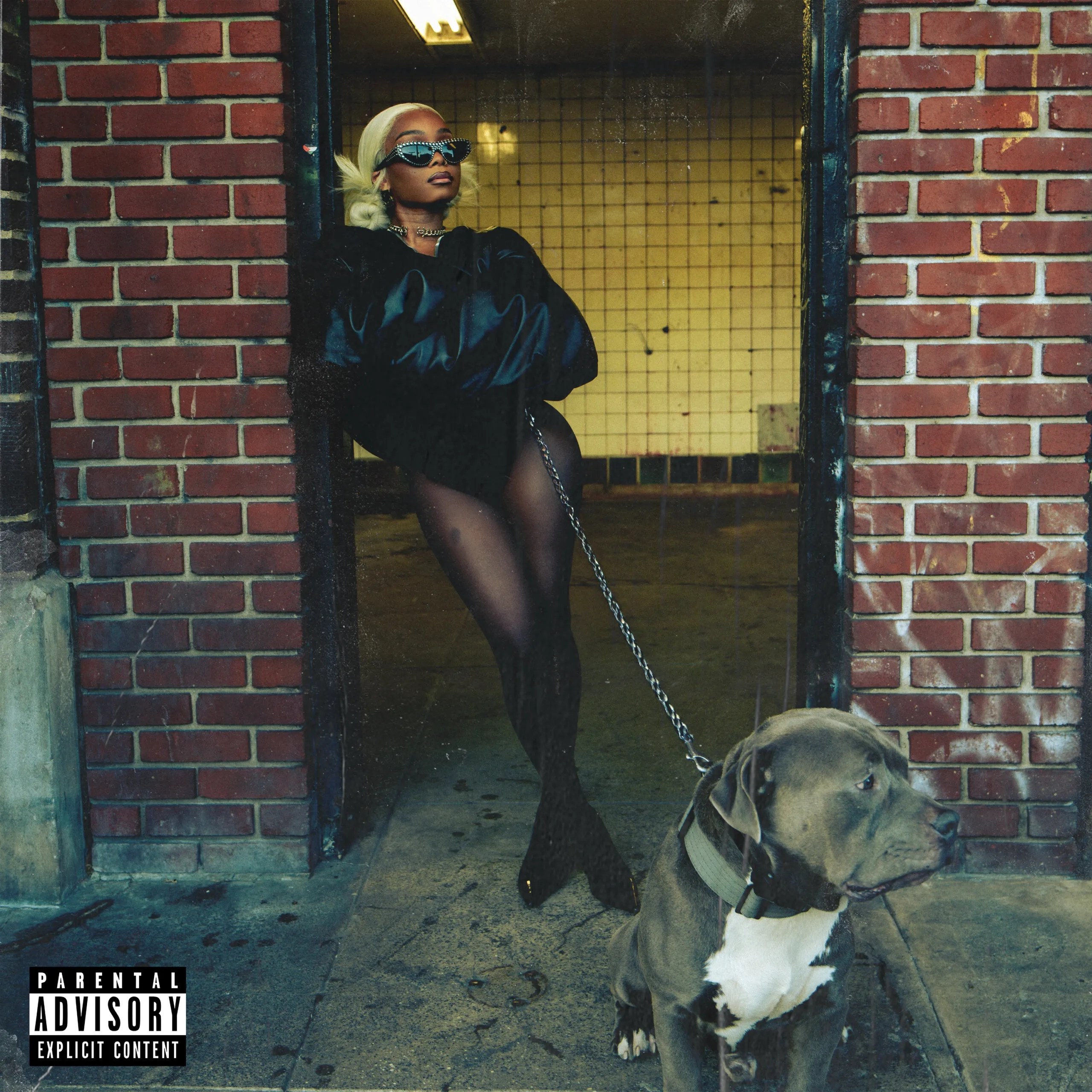 Lola Brooke Drops “Get Money” Single & Visualizer – VannDigital