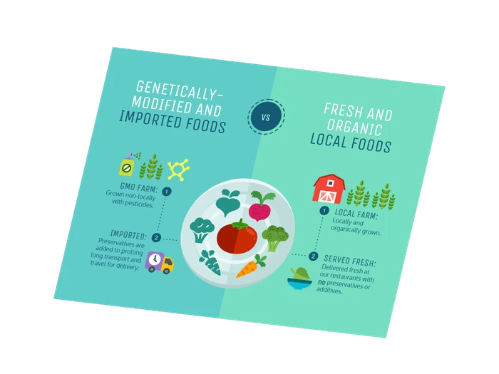 Free Food Infographics Templates Venngage