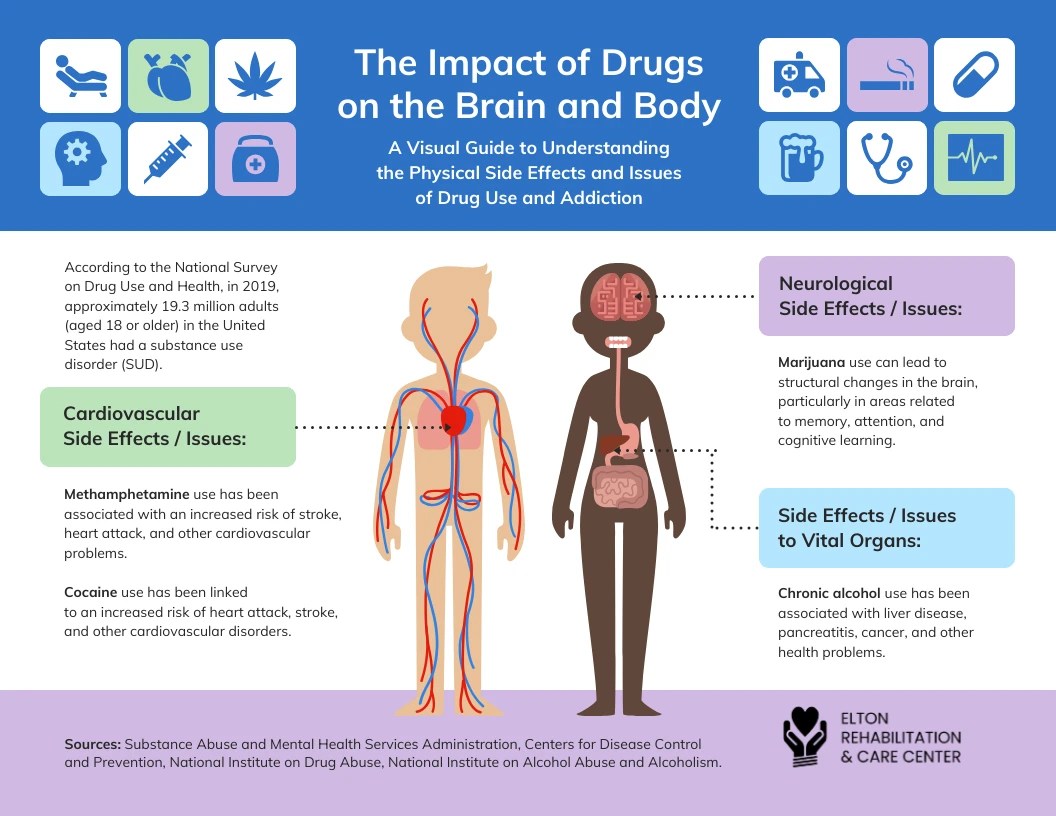 Impact Of Drugs On The Brain And Body Infographic Template Venngage