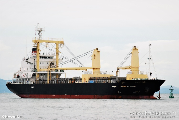 GEMINI DREAM Vessel photos for SadaoTanaka