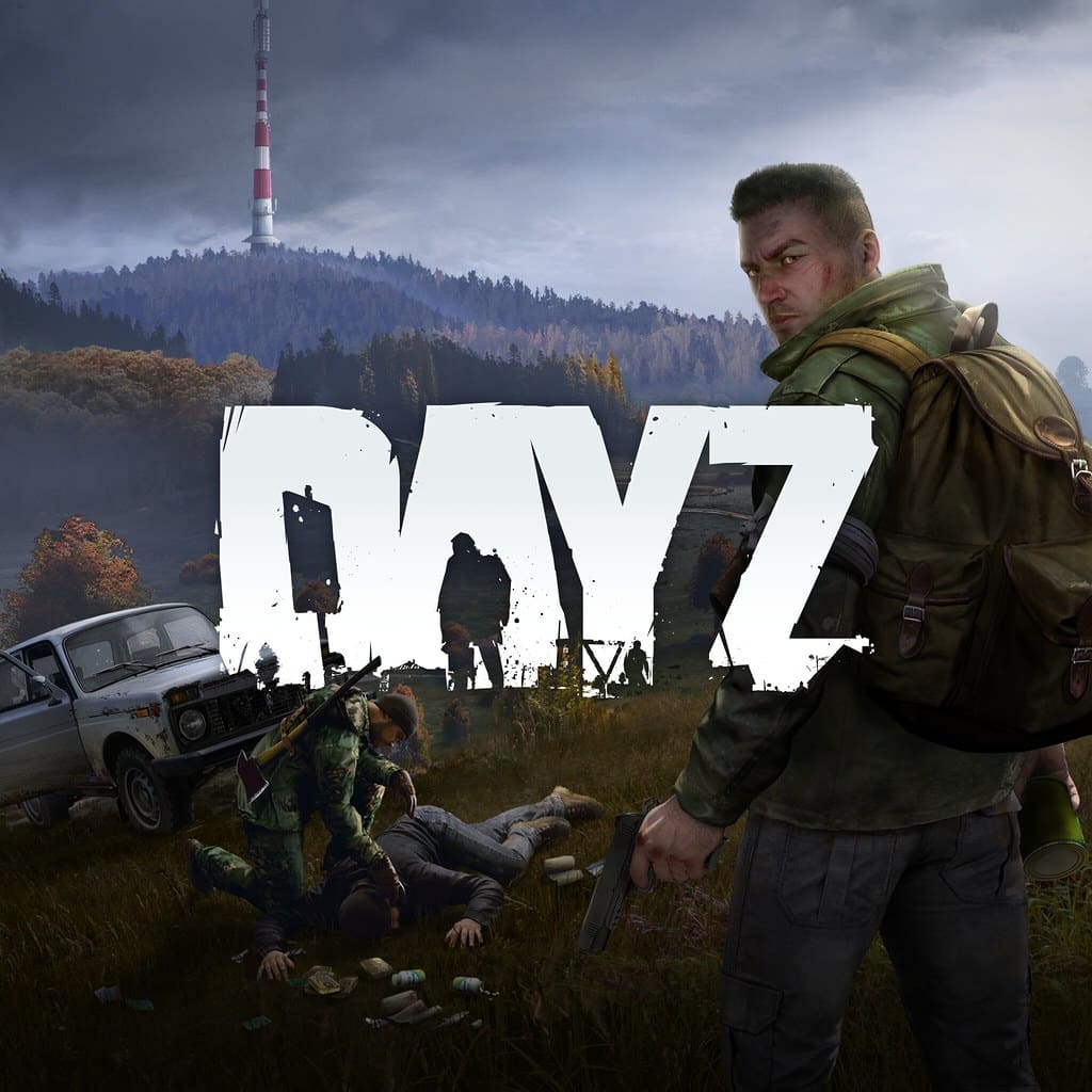 DayZ main view: